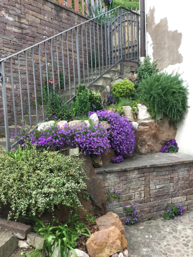 Apartment Cuore Nel Muller